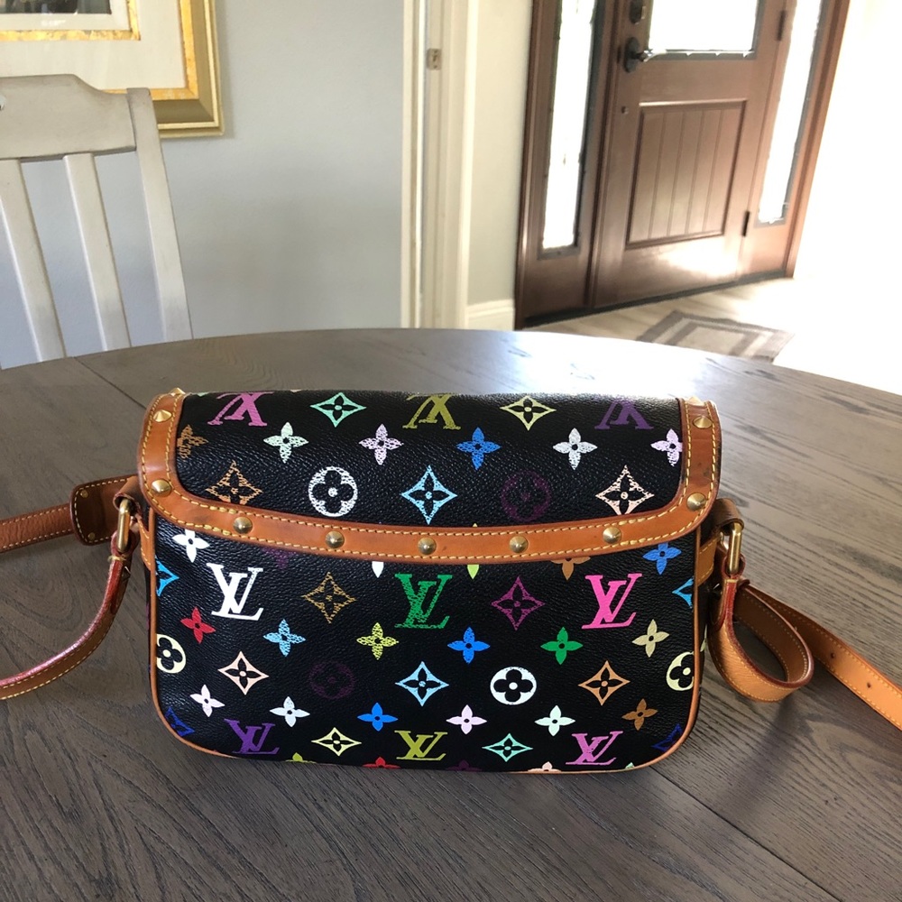 🌈RARE🌈 Louis Vuitton multi color Sologne Bag. - Picture 3 of 16